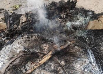 How did the ruthless military council forces burn and killed the civilian, Aye Ko?