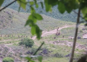 အရပ်သားလူငယ်များကို အကြမ်းဖက်စစ်ကောင်စီမှဖမ်းဆီး