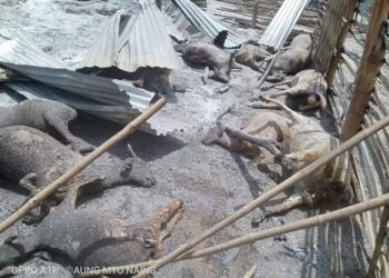 Hundreds still hiding in forest after torching of Kinma village