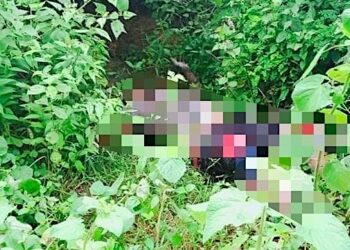 တန့်ဆည်တွင် စစ်ကောင်စီတပ်က အရပ်သားများကို စီးနင်းသတ်ဖြတ်မှုများ ကျူးလွန်နေ