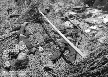 ဂန့်ဂေါမြို့နယ် မြင်သားကျေးရွာ တိုက်ပွဲအတွင်း ဒေသခံ ၁၇ ဦး သေဆုံး