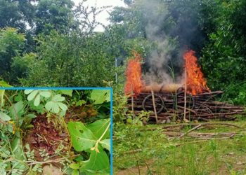 Junta soldiers detain and kill woman who raised funds for local guerilla group