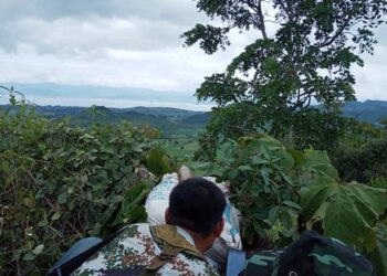 Myanmar military operation underway in Pekhon, PDF says