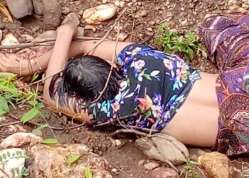 PDF အမျိုးသမီးတစ်ဦးကို ရဲနှင့် ပျူစောထီး ရက်ရက်စက်စက် သတ်ဖြတ်မှု