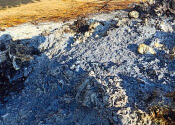 စစ်ကိုင်းမှာ အရပ်သားတွေ ဖမ်းဆီးသတ်ဖြတ်ခံနေရ ၂ ရက်အတွင်း ၃၀ ကျော်သေဆုံး