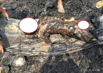 အရာတော် ပါရမီကျေးရွာသား လေဖြတ် ဝေဒနာ ခံစားနေရသည့် အဘိုး ဦးညွန့်ရွှေကို စစ်တပ်က မီးရှို့ သတ်ဖြတ်