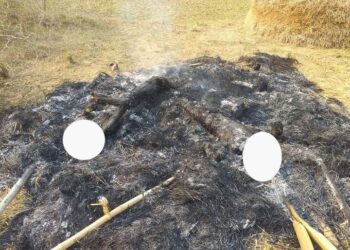 ဧပြီ ၁၁၊ ၂၀၂၂။ (တနင်္လာ)