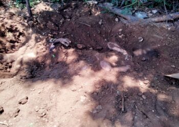 Five civilians killed and 20 captured in Sagaing village