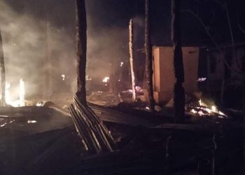 ထီးချိုင့်ရှိ ဇီးသောင် အရှေ့ရွာနှင့် အနောက်ရွာကို စစ်တပ် မီးရှို့မှု နေအိမ် ၈၀ ခန့် ပြာကျ