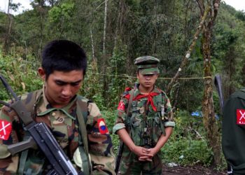 November 15 2022. (Tuesday)