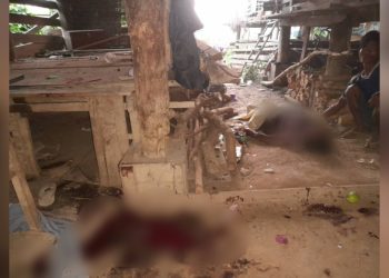 ကသာတွင် စစ်တပ်က နှစ်ရက်ဆက် ဗုံးကြဲ၊ ပြည်သူ ၈ ဦး သေဆုံး