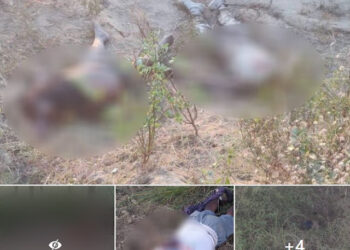 စစ်ကောင်စီတပ်ဖွဲ့ဝင်များ သတ်ဖြတ်ထားသော ရုပ်အလောင်း ၂၀ လောင်းတွေ့၊ ခေါင်းနှင့် ခြေလက်များ ခုတ်ဖြတ်ထားသော ရုပ်အလောင်းများလည်း ပါဝင်