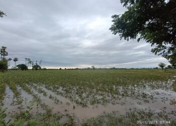 မေ ၂၂၊ ၂၀၂၃။ (တနင်္လာ)