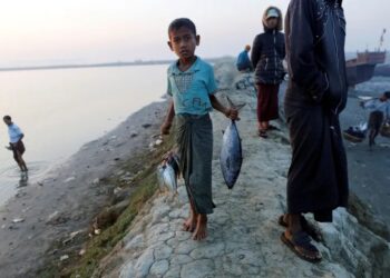 Coup, cyclone and a new bond between Myanmar’s Rohingya and Rakhine