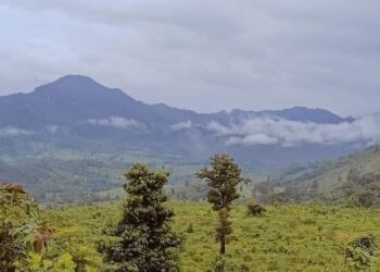 July 29 2023. (Saturday)