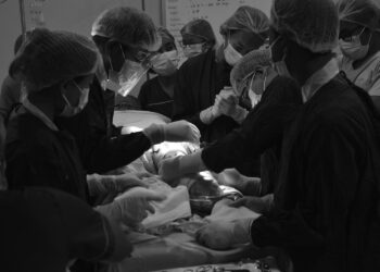 ရရာနည်းလမ်းဖြင့် ခုခံတော်လှန်ခြင်း