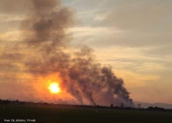 ဖေဖော်ဝါရီ ၁၅၊ ၂၀၂၄။ (ကြာသပတေး)