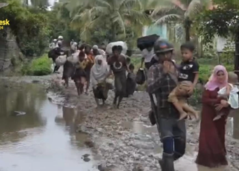 မောင်တောတွင် စစ်ကောင်စီ  လူသားဒိုင်းအဖြစ် ဖမ်းဆီးထားသော ရိုဟင်ဂျာ  ၃၀၀ ခန့်ကို AAကယ်ထုတ်