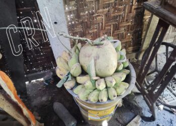 မေ ၁၀၊ ၂၀၂၅။ (စနေ)